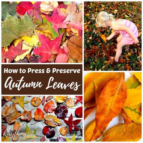 How do you press leaves?