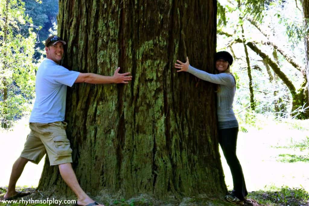 Dad & Mom redwood tree hug in Northern California (Photo of Nick and Nell R. Kartychok)