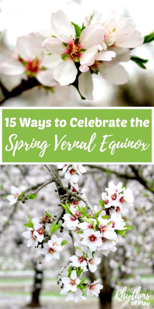 The spring vernal equinox typically occurs between the 20th and 22nd of March in the Northern Hemisphere while those in the Southern Hemisphere celebrate in September. While the Northern Hemisphere welcomes the spring, the Southern Hemisphere welcomes the fall or autumn. Click through to find traditional celebration ideas, crafts, and decorations you can make to celebrate the March solstice! Links to celebration ideas for the fall autumnal equinox are also included. 
