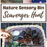 nature sensory bin scavenger hunt for kids