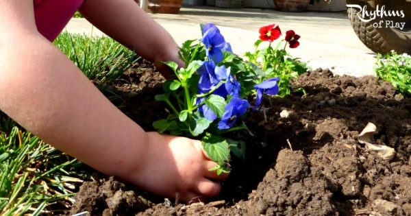 Planting spring flowers with kids is fun and easy way to celebrate May Day.