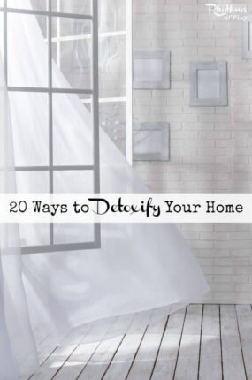 20 Ways to Detoxify Your Home Pin