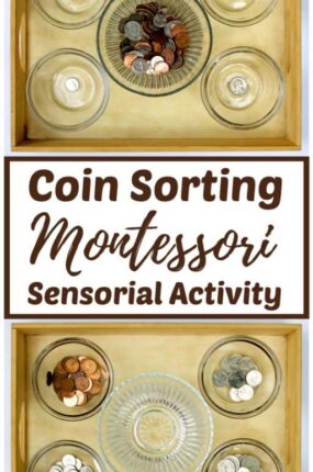 Montessori sensorial exercises such as coin sorting help children develop and refine the senses. Sorting coins or money as a homeschool activity will help kids develop problem-solving skills, independence and the beginnings of rational thought. 