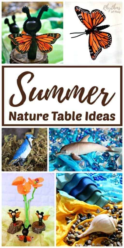 Summer nature table ideas for natural learning.
