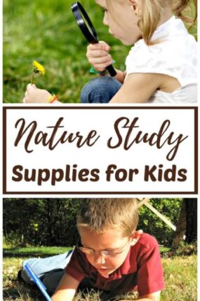 children studying nature with nature study supplies