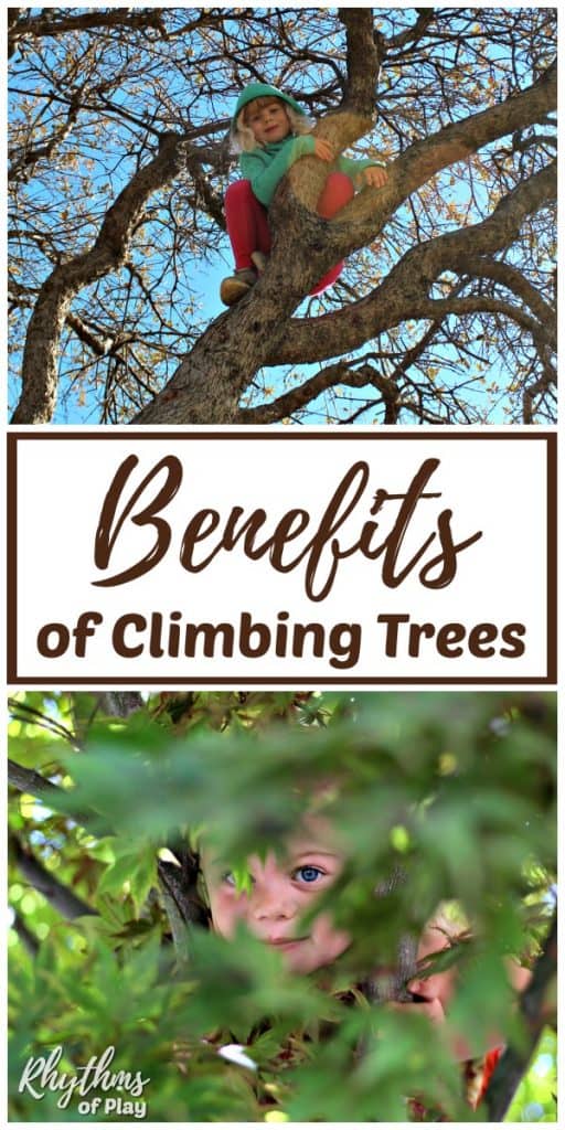 children climbing trees