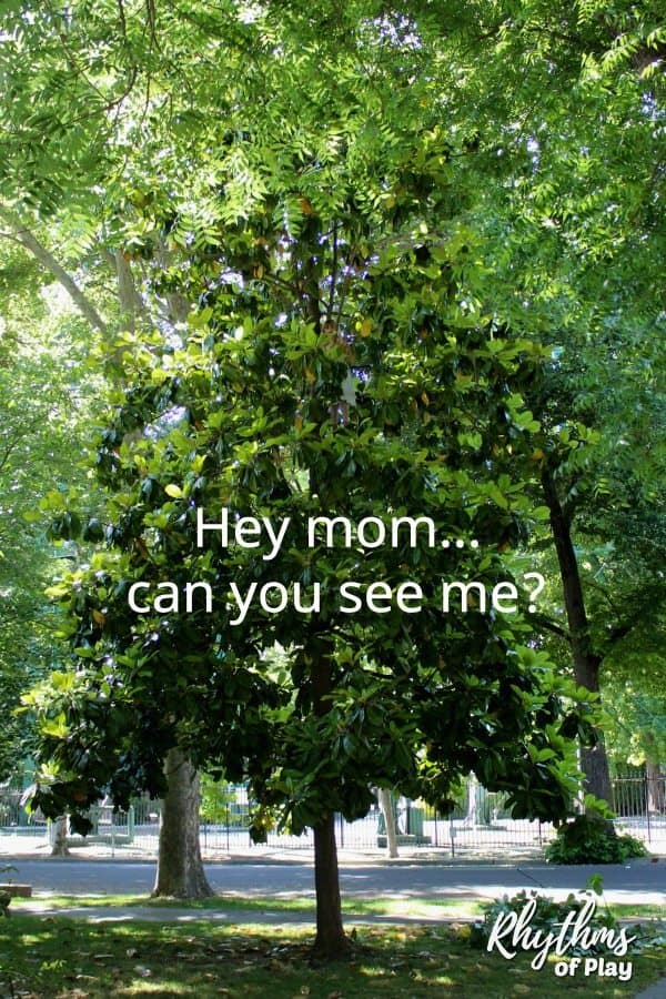 Climb a tree - child in 40 foot magnolia tree