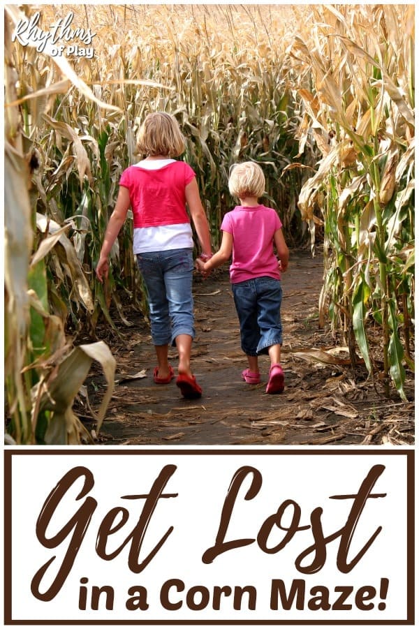 Visit a corn maze and get lost!