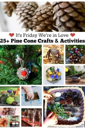 25+ Pine cone crafts & activities