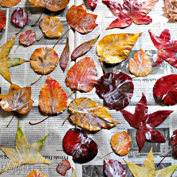 how to preserve fall leaves 