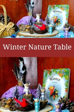 Winter Nature Table
