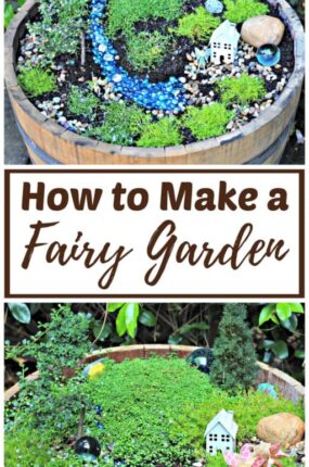 How to make a fairy garden from start to finish