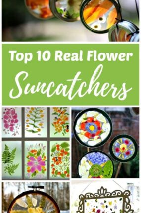 Making real flower suncatcher crafts is an easy fine motor activity for kids and teens. Using real flowers provides a rich sensory experience for the developing child. Even a toddler can make one of these beautiful nature crafts!