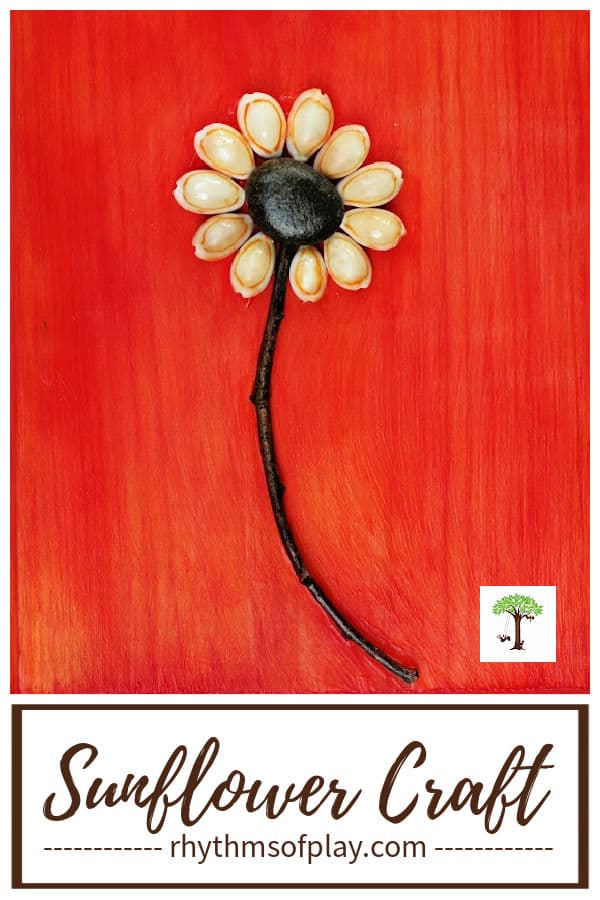 sunflower craft on a wood plaque made with shells and other natural craft materials.
