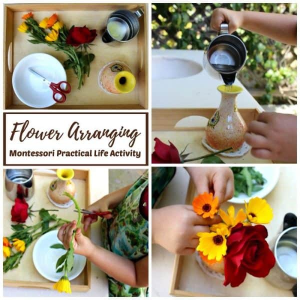 How to arrange flowers step-by-step photo collage  (C. Kartychok arranging flowers, photos by Nell Regan K.)