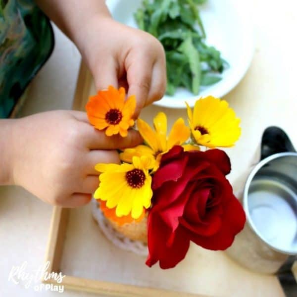 child arranging flowers for flower arranging Montessori Practical life activity  (C. Kartychok arranging flowers, photos by Nell Regan K.)