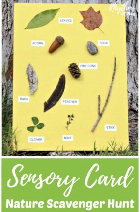 Create a nature scavenger hunt for your kids by making a nature sensory card. Using a nature sensory card makes it possible for toddlers and young children that can't read to go on a nature hunt. Alternative variations and creative learning ideas to extend this forest school nature study activity are included.