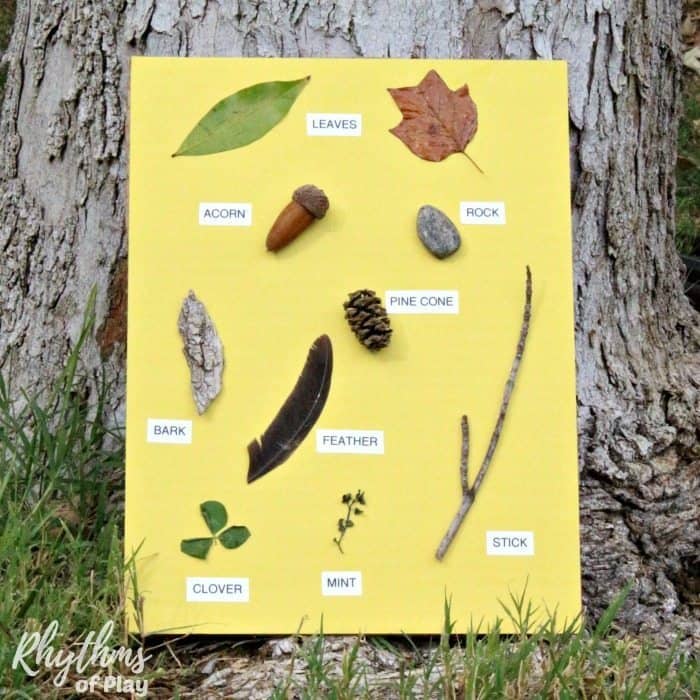 Create a nature scavenger hunt for your kids by making a nature sensory card. Using a nature sensory card makes it possible for toddlers and young children that can't read to go on a nature hunt. Alternative variations and creative learning ideas to extend this forest school nature study activity are included.