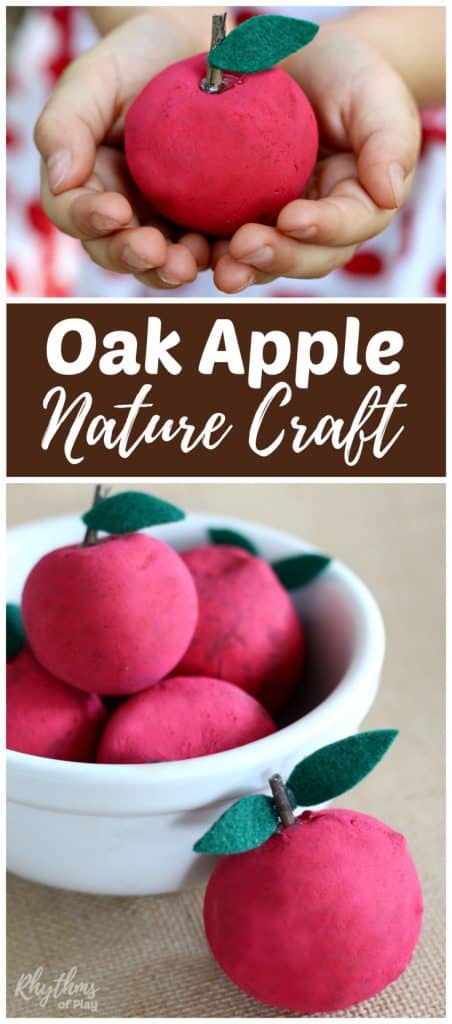 Oak apple crafts for kids and adults made with natural oak balls