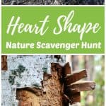 heart shaped leaves and tree bark found on a nature scavenger hunt