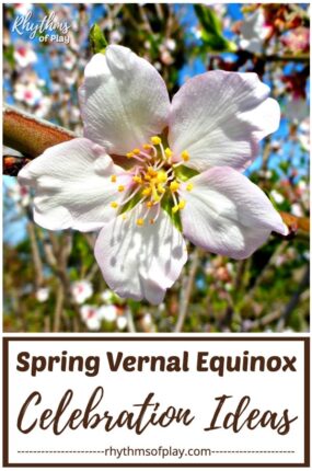 Ways to celebrate the spring equinox