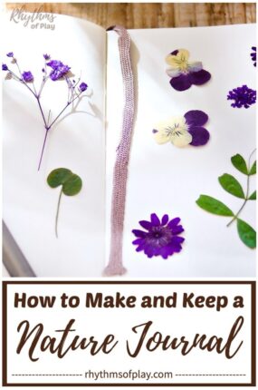 nature journal with flowers inside - how to make a nature journal and how to keep a nature journal