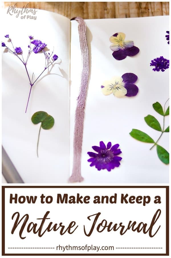 nature study journal with pressed flowers inside - how to make a nature journal and how to keep a nature journal