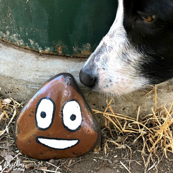 Poop emoji painted rock that our dog found at the park! 