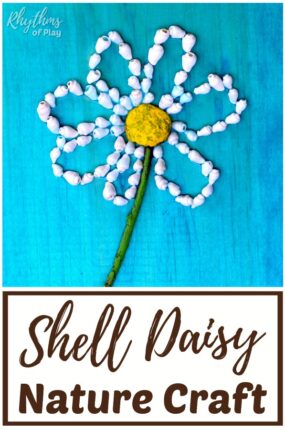 daisy flower shell crafts for kids and adults