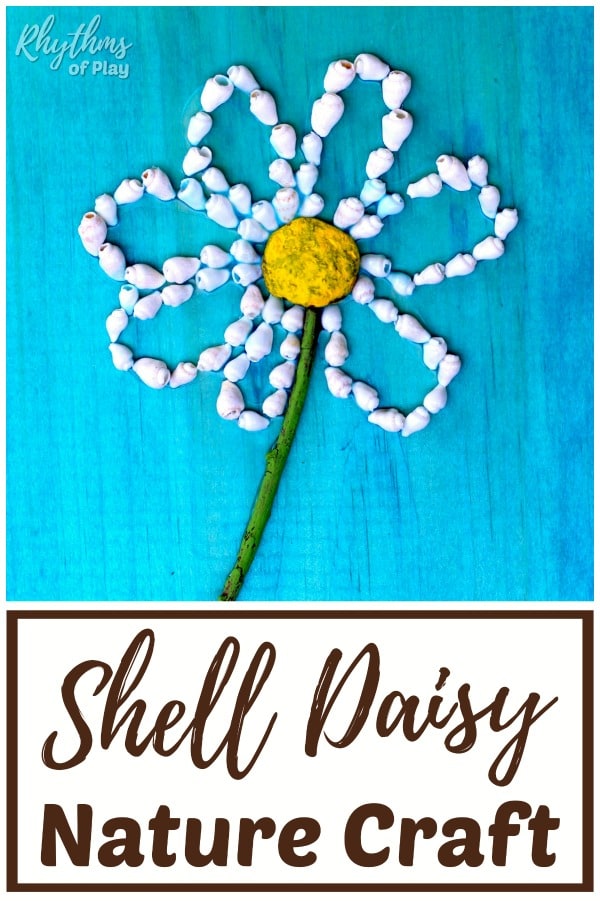 daisy flower shell crafts for kids and adults