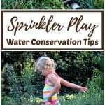 Children playing in the sprinklers