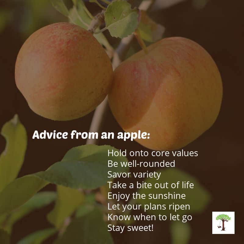 Apples hanging on limb of a tree with quote, "Advice from an apple: Hold onto core values Be well-rounded Savor variety Take a bite out of life Enjoy the sunshine Let your plans ripen Know when to let go Stay sweet!