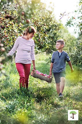 Mother and sun picking apples at an apple orchard to bring home for apple-picking activities