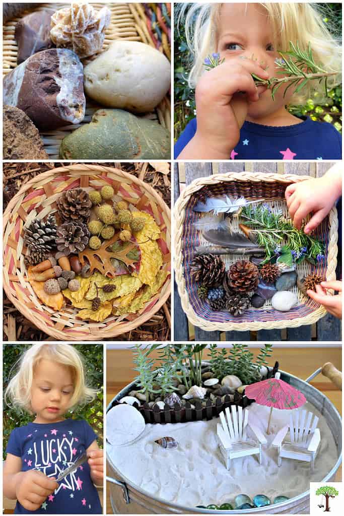 DIY Nature sensory bin ideas for kids for educational purposes and sensory development.