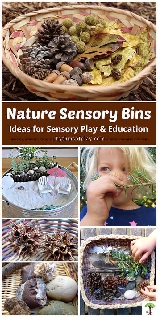 Nature sensory bin ideas and examples for kids to play and learn.