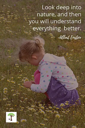 Young girl in field of wildflowers studying nature by looking at the flowers closely to learn more about them with quote overlay by Albert Einstein. "Look deep into nature, and then you will understand everything better."