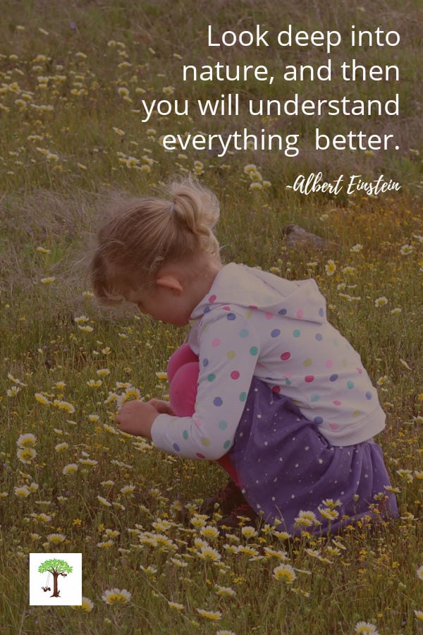 Young girl in field of wildflowers studying nature by looking at the flowers closely to learn more about them with quote overlay by Albert Einstein. "Look deep into nature, and then you will understand everything better."