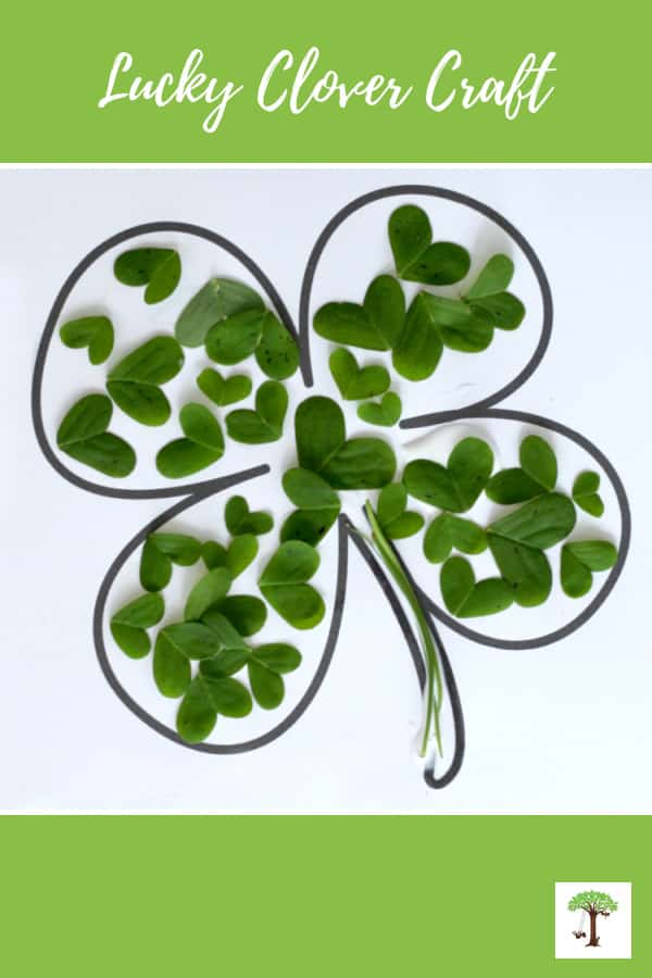 What Is A 3 Leaf Clover Called In Chinese Infoupdate What Is A 3 Leaf Clover Called In Chinese Infoupdate