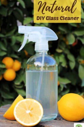 Best homemade DIY glass cleaner made with all-natural ingredients.