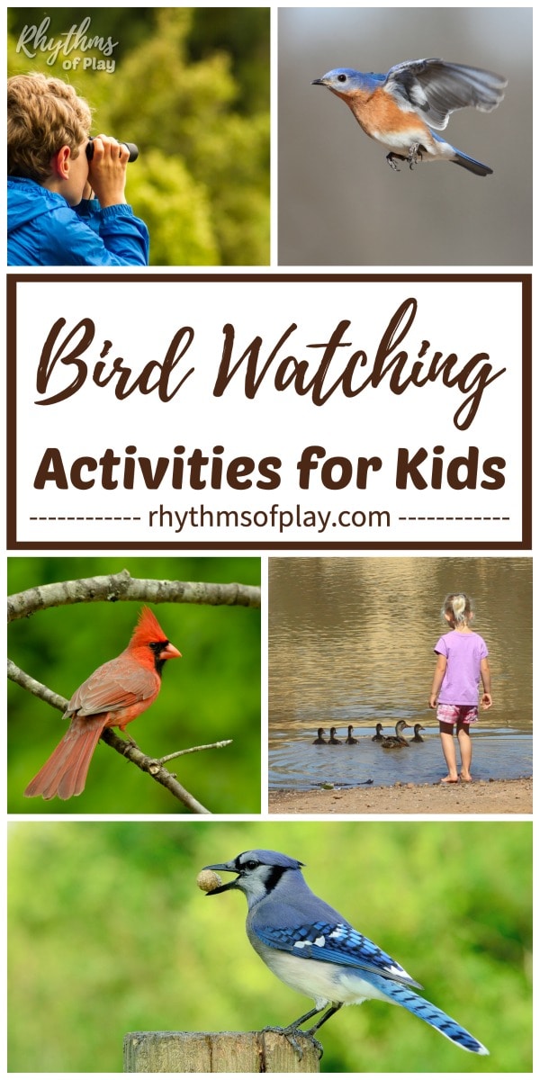 Birding for kids - photos of children bird watching different species of birds (photo collage by Nell Regan K.)