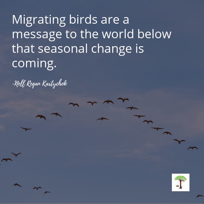 Bird quote "Migrating birds are a message to the world below that seasonal change is coming." by Nell Regan Kartychok creator of Rhythms of Play