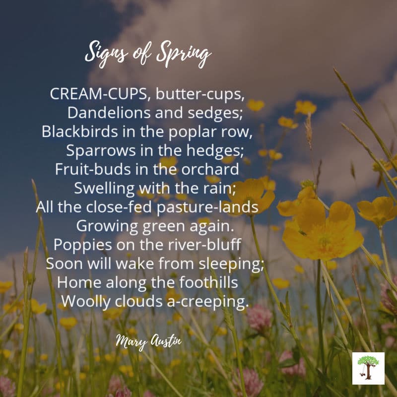 Signs of Spring poem by Mary Austin