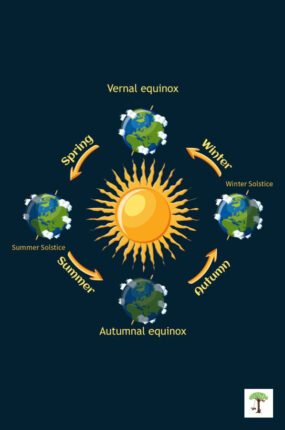 Spring vernal equinox at top of graphic of progression of the seasons through equinoxes and solstices