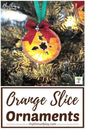 orange slice ornaments hanging on the winter solstice, Yule, Christmas Tree
