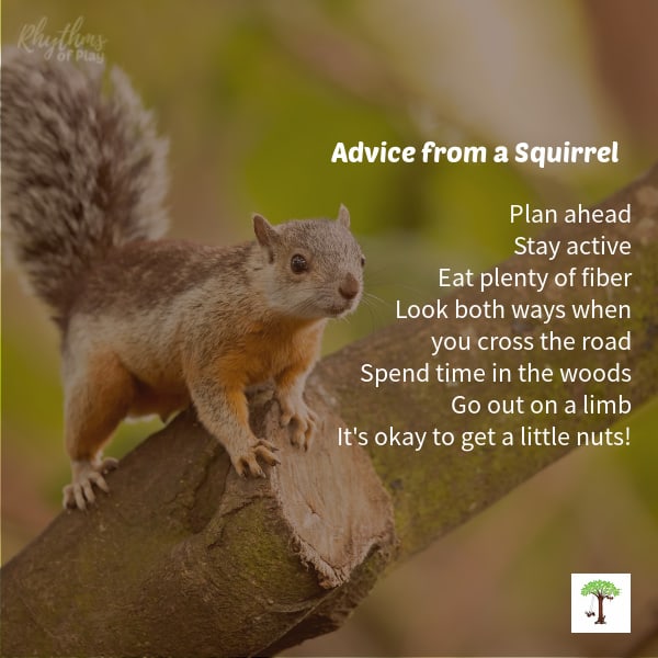 Squirrel on limb of tree with text: Advice from a squirrel: Plan ahead, stay active, eat plenty of fiber, look both ways when you cross the road, spend time in the woods, go out on a limb, it's okay to get a little nuts!