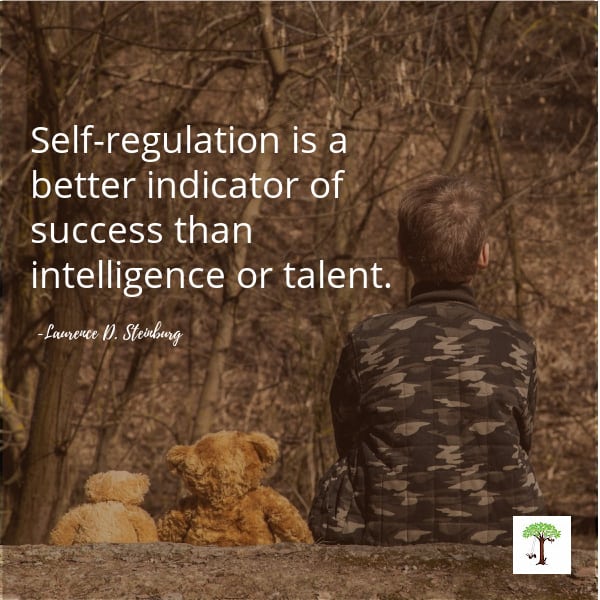 boy sitting outside with teddy bears to self-regulate his emotions with quote, "Self-regulation is a better indicator of success than intelligence or talent."