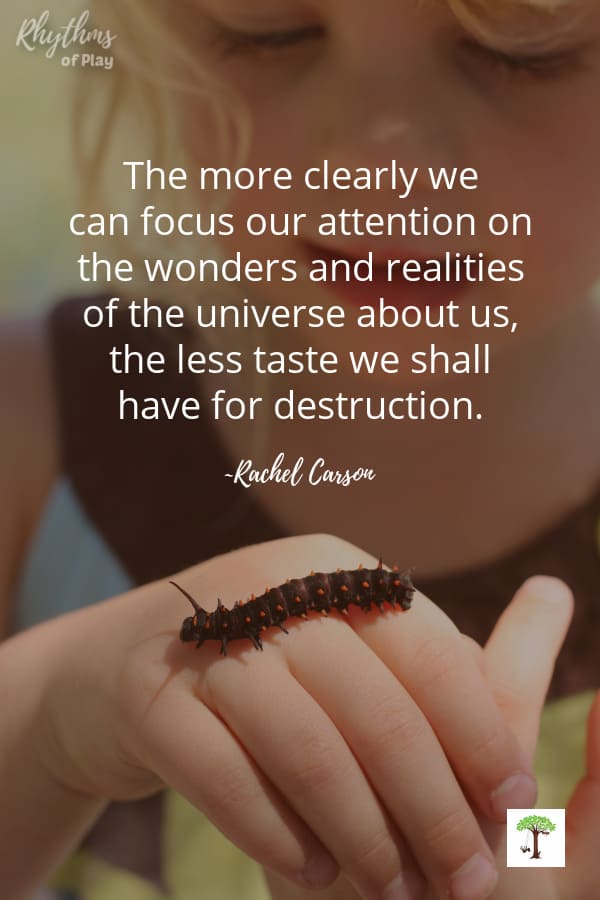 child studying nature with caterpillar crawling on her hand and quote, "The more clearly we can focus our attention on the wonders and realities of the universe a about us, the less taste we shall have for destruction." (Photo of C. Kartychok by Nell Regan K.)