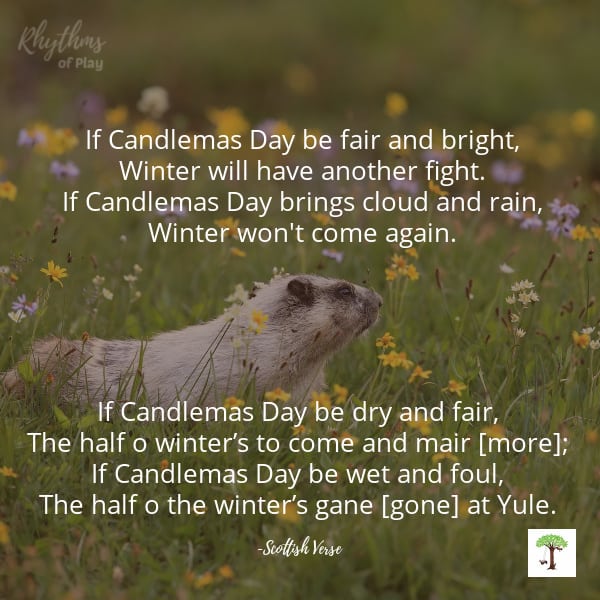 goundhog in a field of flowers on Imbolc with quote, "If Candlemas Day be fair and bright, Winter will have another fight. If Candlemas Day brings cloud and rain, Winter won't come again. If Candlemas Day be dry and fair, The half o winter's to come and mair: If Candlemas Day be wet and foul, The half o the winter's gane and Yule."