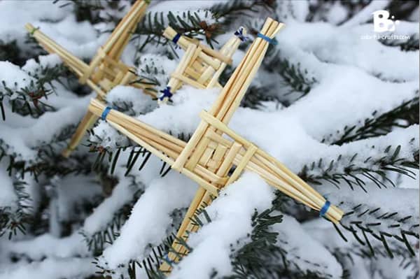 Saint Brigid cross crafts hanging on evergreen trees for Imbolc. 
