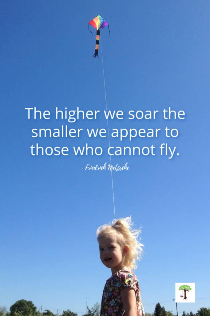 kid flying a kite with quote, "The higher we soar the smaller we appear to those who cannot fly." (photo of Charlize Kartychok by Nell Regan Kartychok co-founders of Rhythms of Play)